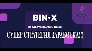 Полный обзор МАРКЕТИНГА BIN X   Супер стратегия командного заработка!