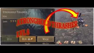 STRONGHOLD THRASHER (LVL.8)  Grim Soul Dark Fantasy Survival  Alam Informations