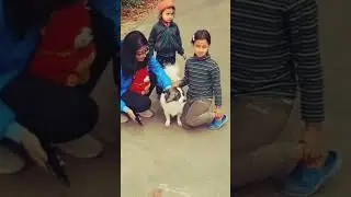 Travel diaries #trending #travel #funny #tlfcreators #highlights #follow #mountains #viral #comedy