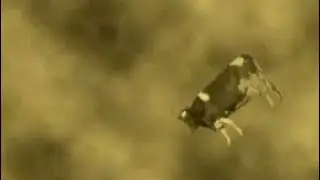 Tornadoes start as flying cows&hellip;.