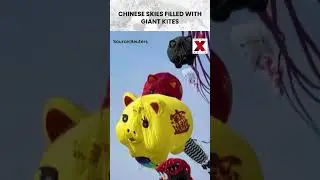 #china Hosts Spectacular International Kite Celebration | NewsX World | #kitefestival #viralshorts