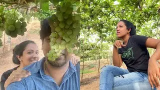 Grapes, Hills, and Fresh Air: A Tour of Kambam&rsquo;s Grape Farms
