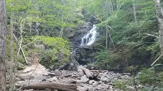 Macintosh Brook Trail
