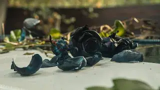 Remember Death