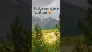 😍 Beautiful View of Nanga Parbat | Fair meadows | #explore #nature #travel #fairymeadows #shorts