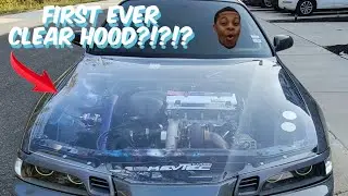 First EVER Clear hoods for 92 96 Honda Prelude!!!!!