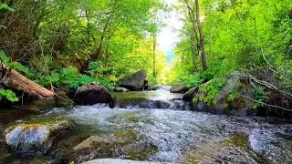 Calming Turquoise Mountain River &mdash; Nature Sounds for Deep Relaxation & Sleep