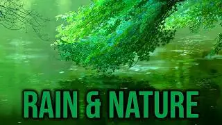 PURE AMBIENCE - RAIN & NATURE【RELAX / CHILL / SLEEP】Singing Birds, Calming Rain and Distant Thunder