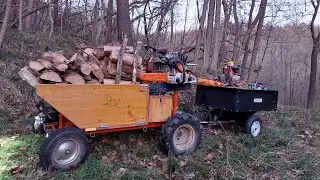 Una normale domenica a far scorta di legna con la motocarriola e il verricello fai da te ! #2 