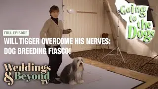 Dog With Performance Anxiety - Going To The Dogs | Double Trouble