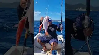 Pesca #fishing #pescaprofunda