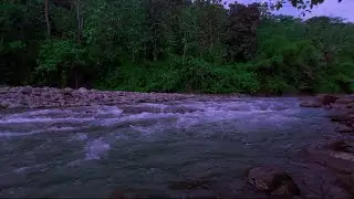 4K-HDR | Soft River Motion in Misty Landscape for Clarity of Thought, Evening Calm and Relaxation
