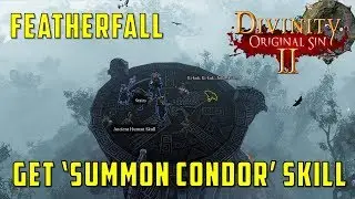Featherfall: Get Free Summon Condor Skill in Stonegarden (Divinity Original Sin 2)