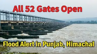 All 52 Gates Open | Pong Dam Water Level Update | Pong Dam News Today| Flood Alert In Punjab
