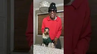 🫣 Making my dog a ski mask #funny #tiktokviral #comedy #trending #youtubeshorts