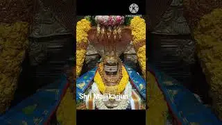 #mallikarjuna #shorts #shortsfeed #shortvideo #viralshort #devotional