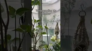 Winterproof Window #shorts #houseplants #indoorplants #diy #garden #greenhouse #plants #plantcare