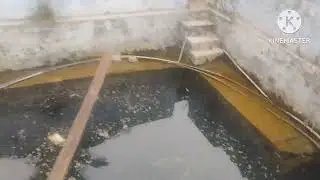 குடிமங்கலம் அருகில் தார் ரோடு பேசில் 8 ஏக்கர் விற்பனைக்கு 