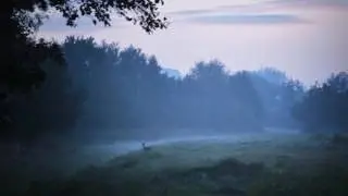 Ny - Wind (Melankoli cover)