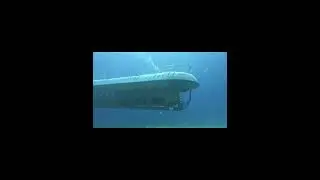Atlantis submarine!👀🤿#submarine #atlantis #cozumel #scubadiving #underwater #shorts #adventuresport