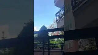 Adorable Cat Enjoys a Sunny Day on the Balcony#catlife #fluffytail #balconycats