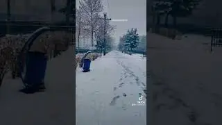 Kabul Snow