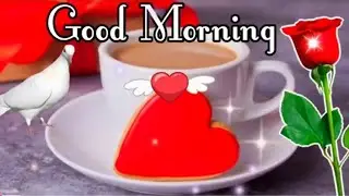 Good Morning status , 🌹Good Morning shayari, 🌹Good Morning video  , 🌹Good Morning