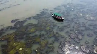 Danube Delta and Black Sea | Romania