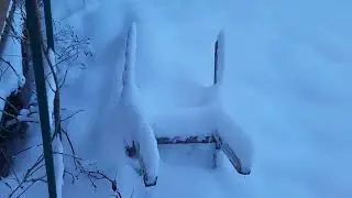 ЖИЗНЬ ЗИМОЙ НА ДАЧЕ//ДЕКАБРЬСКИЕ ДЕЛА НА ДАЧЕ