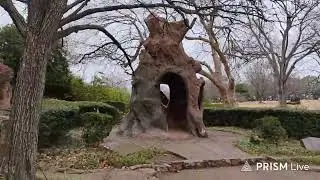 Crystal Shrine Grotto - Memphis, TN - Dec 28
