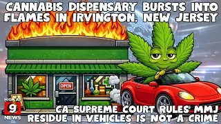 Cannabis is here to stay. And we will regulate the market in 2027.