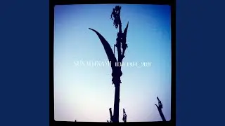 2011-1202