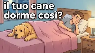 10 Modi Comuni in Cui i Cani Dormono con i Loro Proprietari — e Cosa Significano Davvero