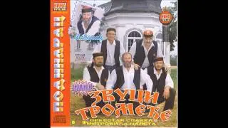 Zvuci Tromedje - Drz se krajisnika - (Audio 2001)