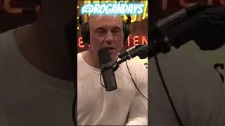The Difference Between Pigs And Hogs | Joe Rogan Experience