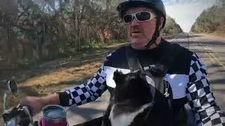 Ride to Crystal River Harley 