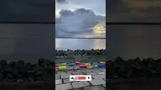 ভাই একটা Subscribe করেন প্লিজ🙏🥹 #short #viral #natural