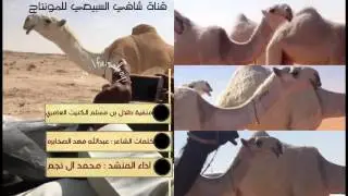 منقية الشيخ طلال بن مسلم الكنيت  العامري   كلمات عبدالله فهد الصخابره  ادا محمد ال نجم