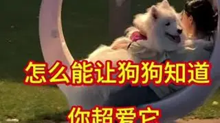 怎么能让狗狗知道你超爱它 #养狗经验分享 #萌宠 #养狗人#养狗必备 #萌宠好物抖起来