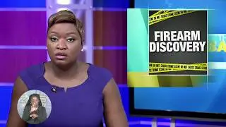 FIREARMS DISCOVERY