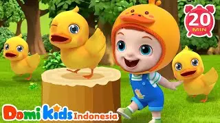 Tarian Hewan 🐾 | Koleksi Lagu Hewan untuk Anak | Domi Kids Pesta Hewan
