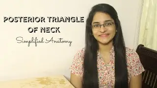 POSTERIOR TRIANGLE OF NECK | ANATOMY | SIMPLIFIED