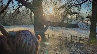 GLASGOW IN 4K | POLLOK PARK SNOW RUN...