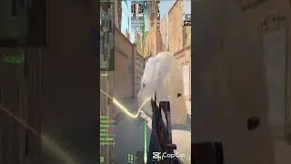 Крутые Моменты нашего игрока Bybli00  #cs2 #m0nesy #gaming #csgo #counterstrike #csgoclips #gamer