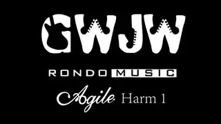 Guitars With Jon Way Rondo Music Agile Harm 1
