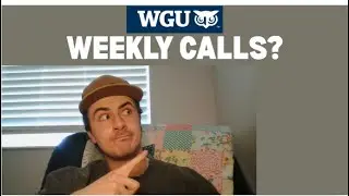 WGU What are Program Mentors?