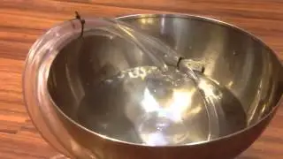 Automatic dog waterer
