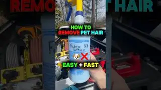 How To Remove Pet Hair EASY + FAST #cardetailingtips #pethairremoval