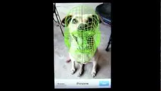 Ugly Meter&trade; iPhone App Review - CrazyMikesapps