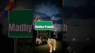@madhya Pradesh ke boy ko kabhi understate mat karna 😈💛